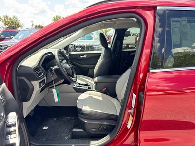 2025 Ford Escape Plug-In Hybrid Base