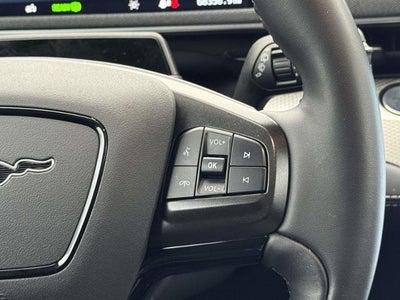 2021 Ford Mustang Mach-E California Route 1