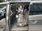 2011 Honda Odyssey Touring Elite