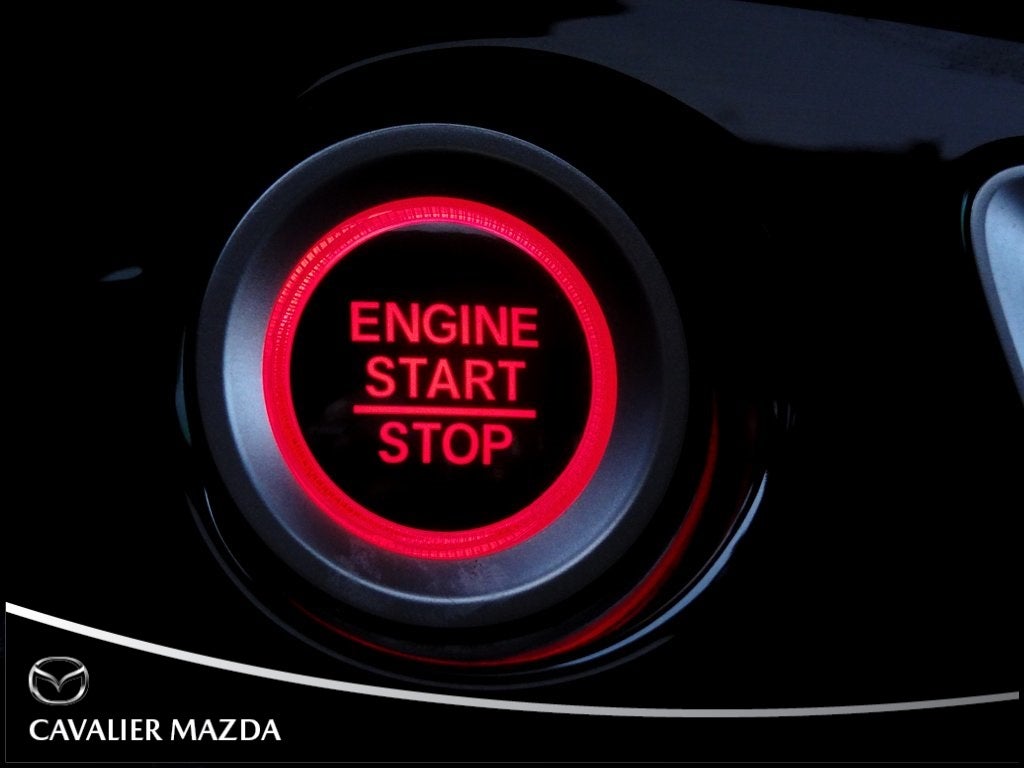 2019 Honda Passport Elite