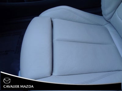 2019 BMW 2 Series 230i xDrive