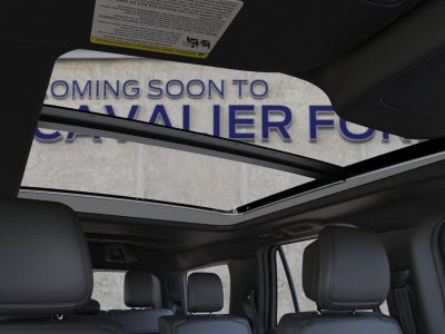 2026 Ford Expedition Platinum®