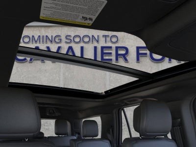 2026 Ford Expedition Platinum®