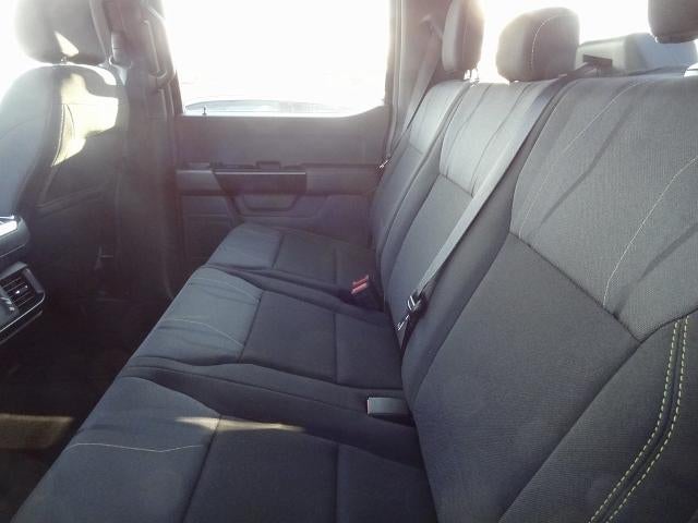 2025 Ford F-150 STX®